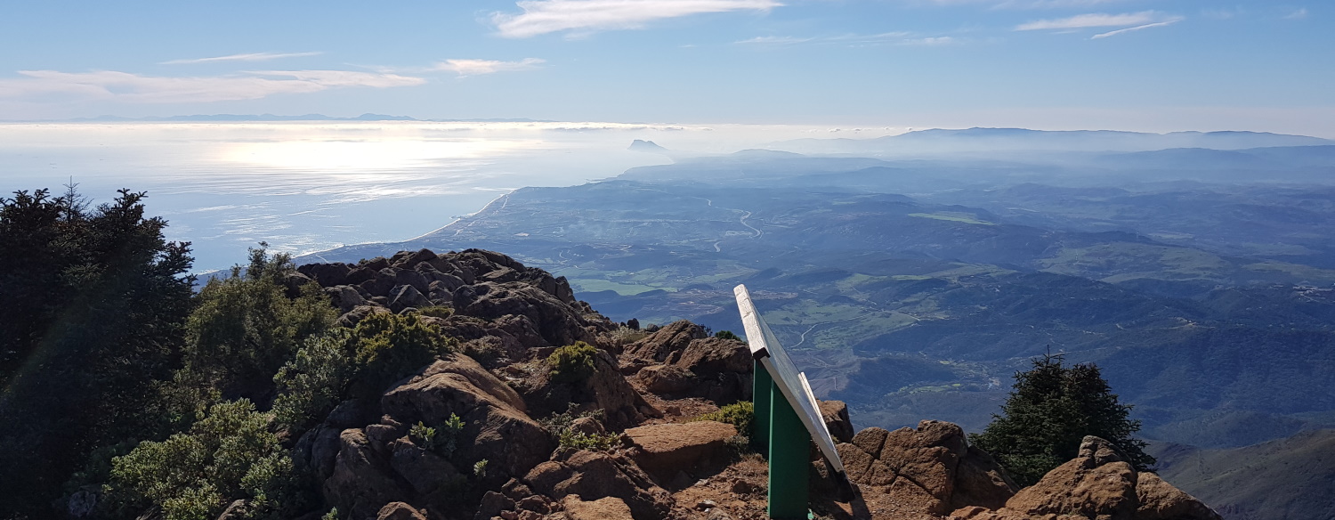 Los Reales de Sierra Bermeja
